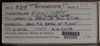 Image Associated With the Occurence